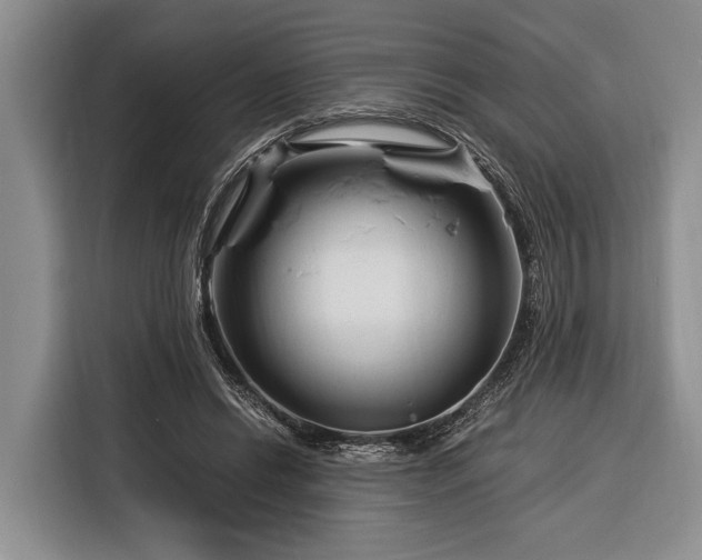 X0000116390446200912091438