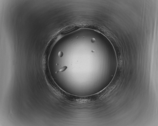 X0000116390448200912091438