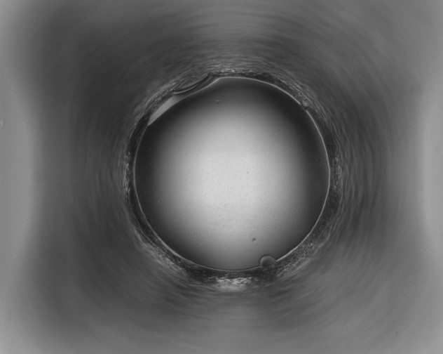 X0000116390450200912091438