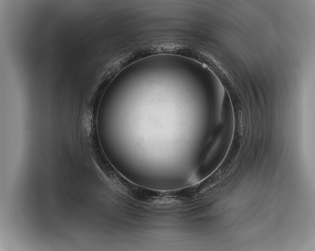 X0000116390451200912091438