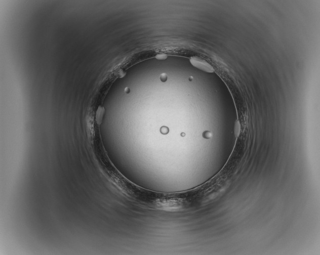 X0000116390452200912091438