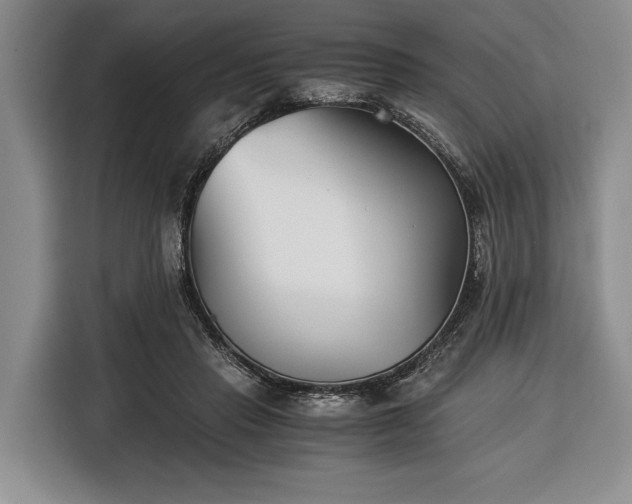X0000116390453200912091438