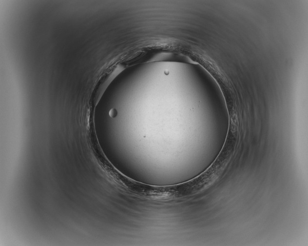 X0000116390454200912091438