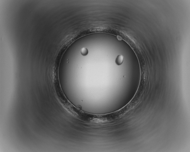 X0000116390455200912091438