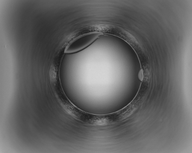 X0000116390456200912091438