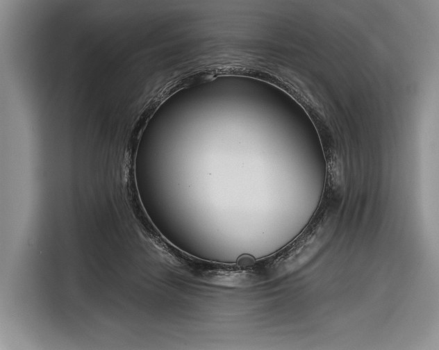 X0000116390458200912091438