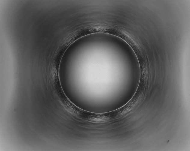 X0000116390459200912091438