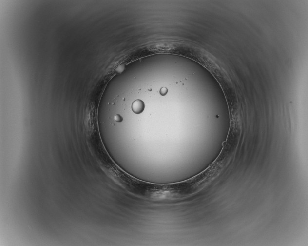 X0000116390460200912091438