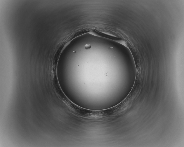 X0000116390462200912091438