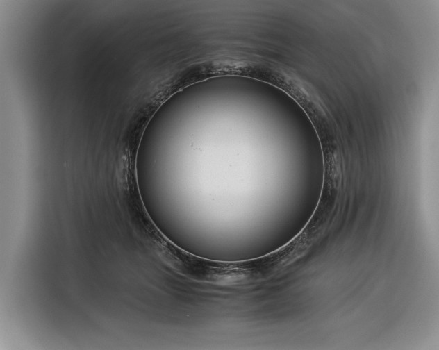 X0000116390463200912091438