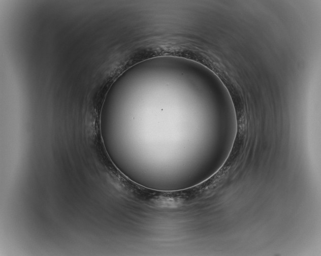 X0000116390464200912091438