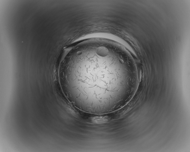 X0000116390465200912091438