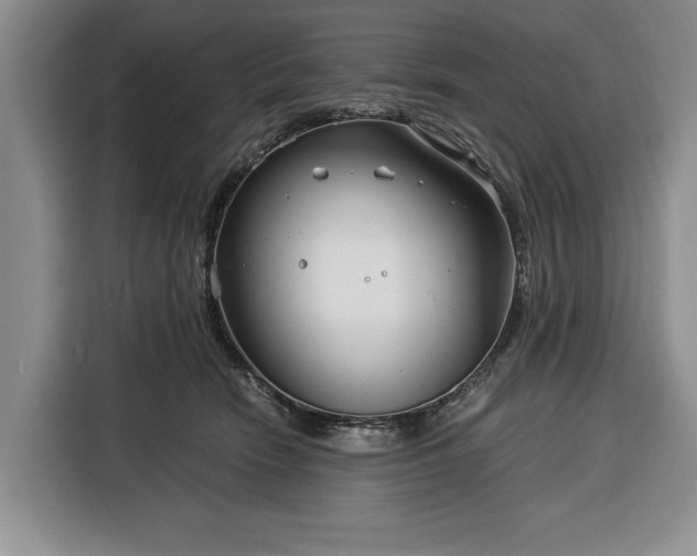 X0000116390466200912091438