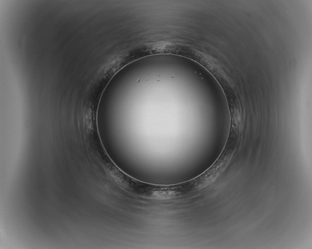 X0000116390470200912091438