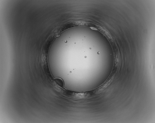 X0000116390473200912091438