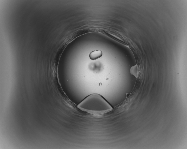 X0000116390474200912091438