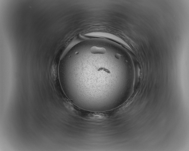 X0000116390475200912091438