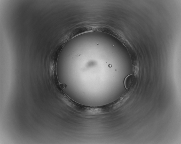 X0000116390476200912091438