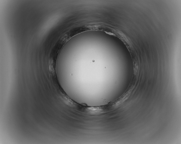 X0000116390477200912091438