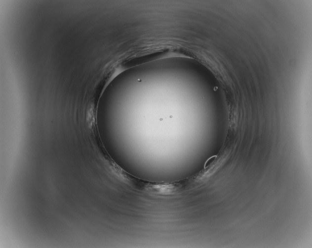 X0000116390478200912091438