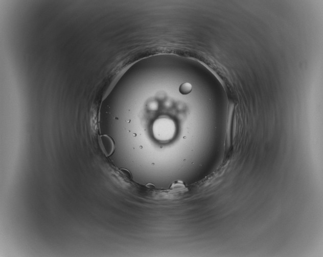 X0000116390479200912091438