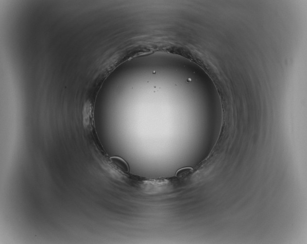 X0000116390480200912091438