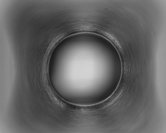 X0000116390481200912091437