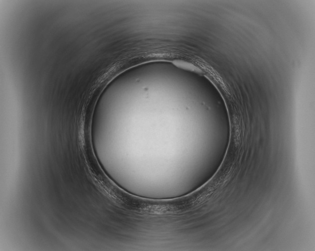 X0000116390482200912091437