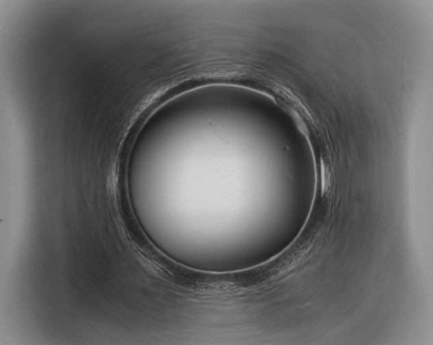 X0000116390483200912091437