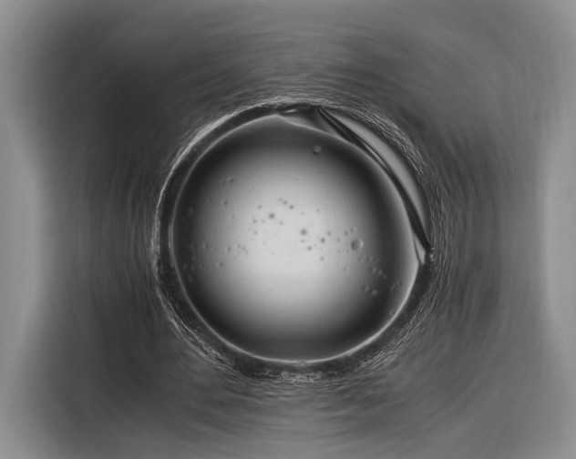 X0000116390484200912091437