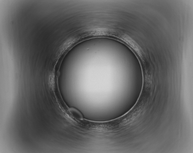 X0000116390485200912091437