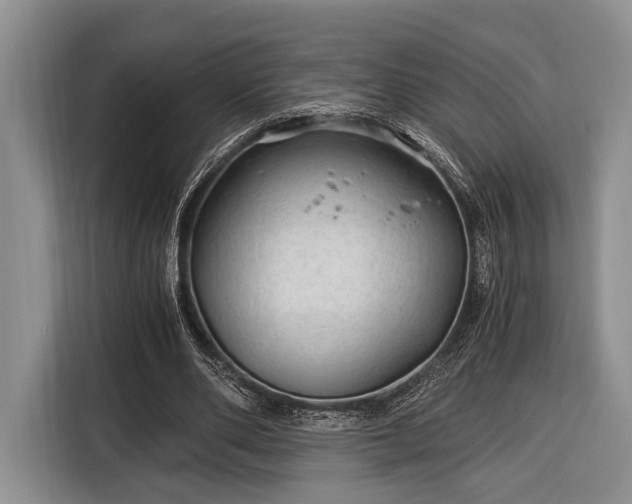 X0000116390486200912091437