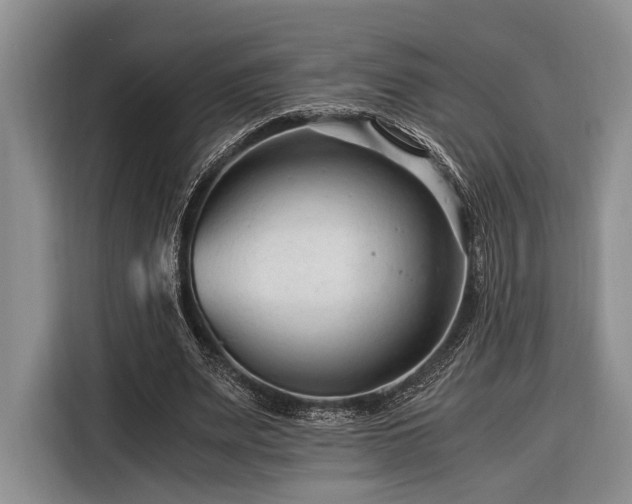 X0000116390487200912091437
