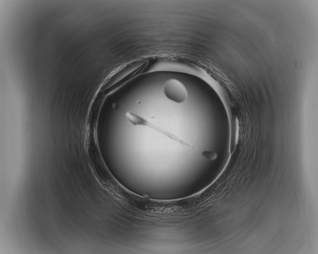 X0000116390488200912091437