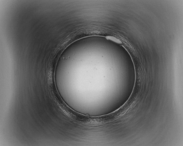 X0000116390489200912091437