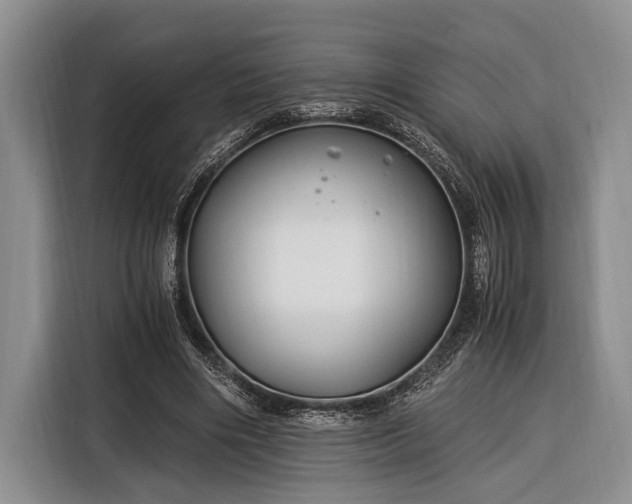 X0000116390490200912091437
