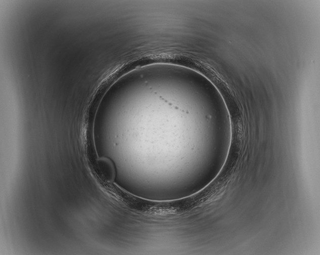 X0000116390491200912091437