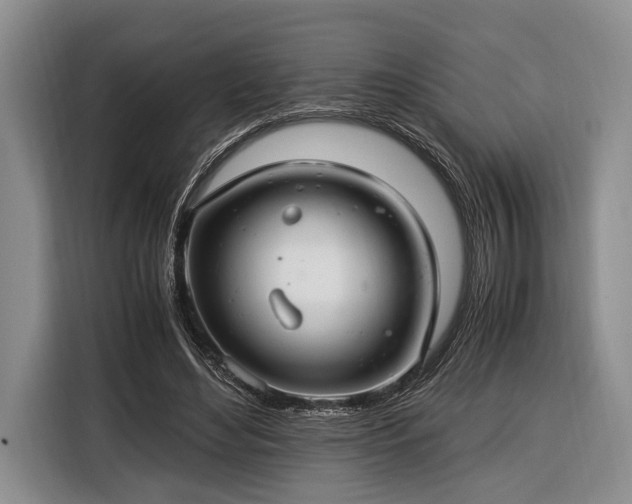 X0000116390492200912091437