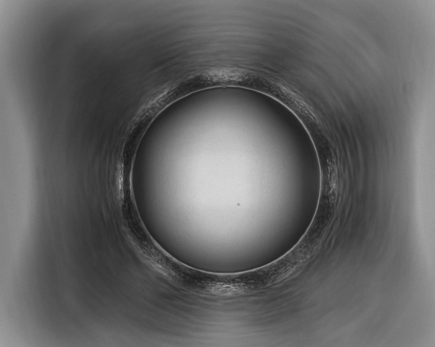 X0000116390494200912091437
