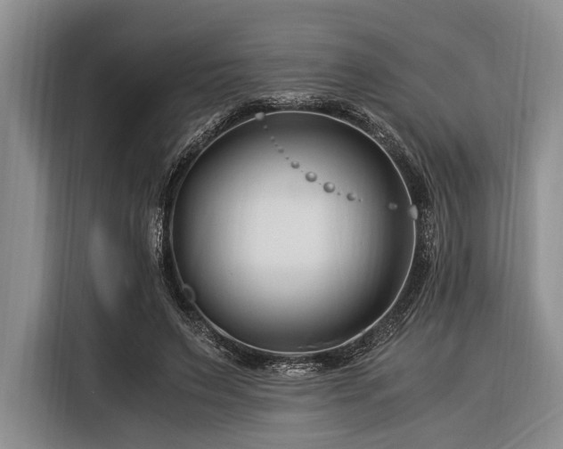 X0000116390495200912091437