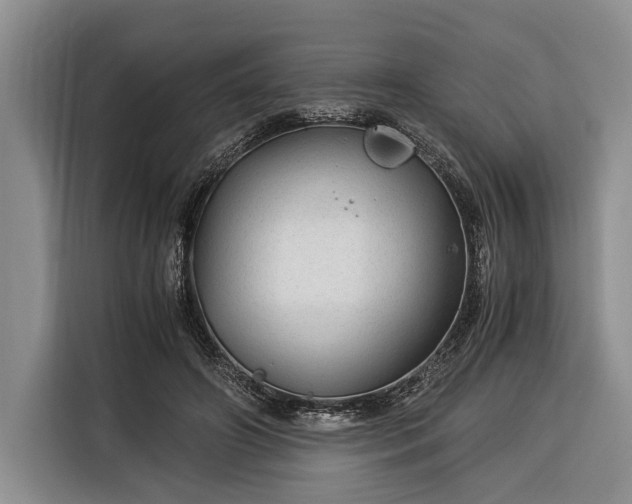 X0000116390498200912091437