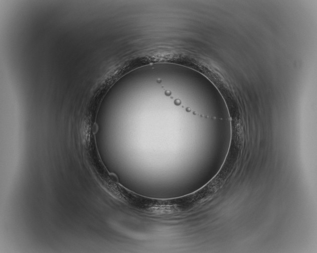 X0000116390499200912091437