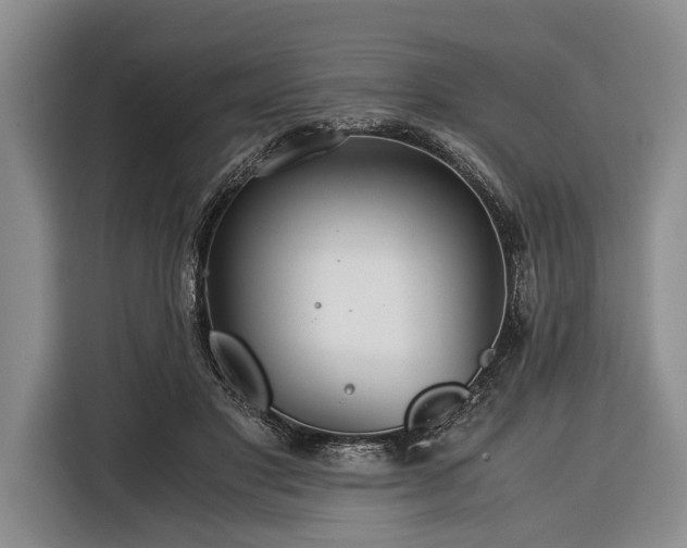 X0000116390501200912091437