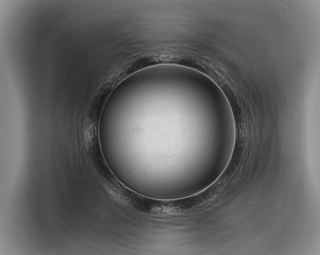 X0000116390503200912091437