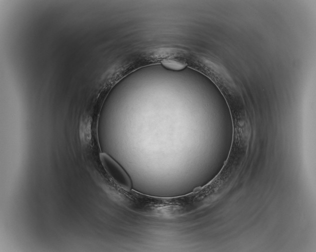 X0000116390504200912091437