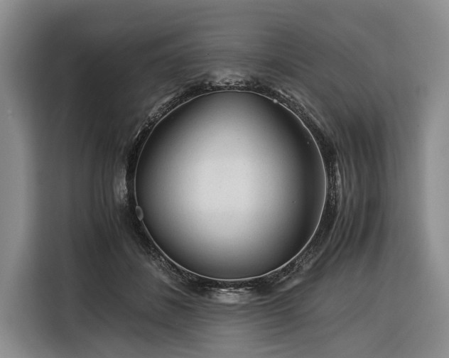 X0000116390508200912091437