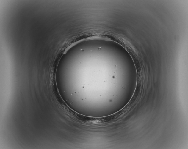 X0000116390509200912091437