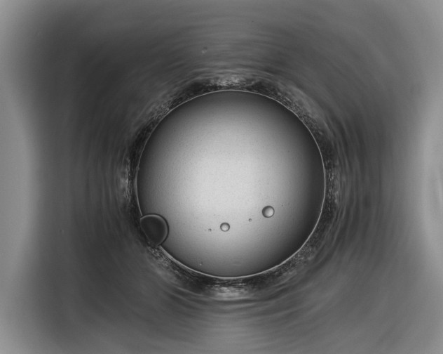 X0000116390510200912091437
