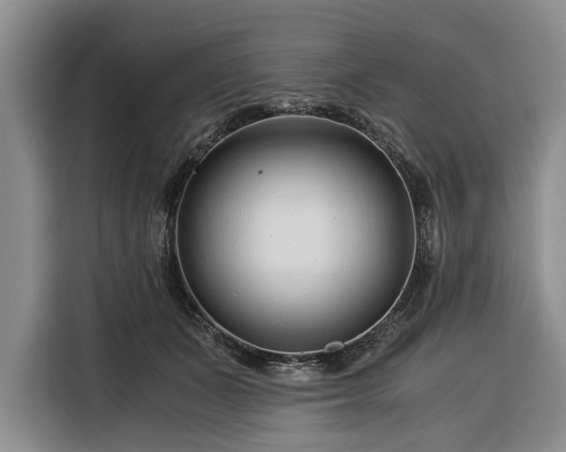 X0000116390511200912091437