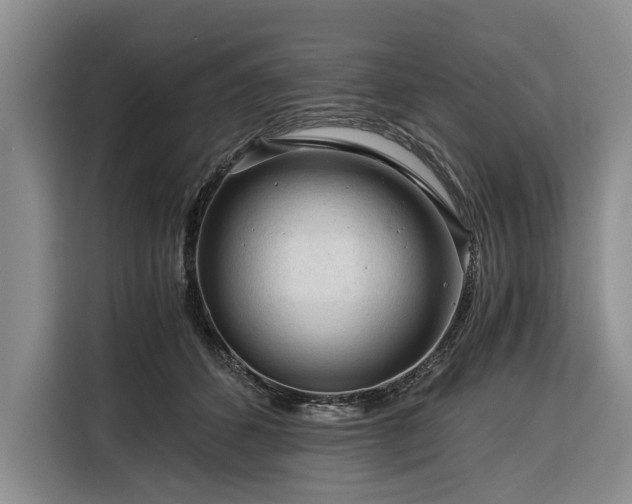 X0000116390512200912091437